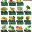 ۱۵ ماده ی غذایی طبیعی که بدنتان را سم زدایی و پاکسازی می کند