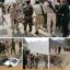 آمار تلفات حمله موشکی و پهبادی امروز ارتش یمن به رژه مزدوران سعودی و اماراتی