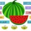 ۱۰ خاصیت اصلی هندوانه را بشناسید