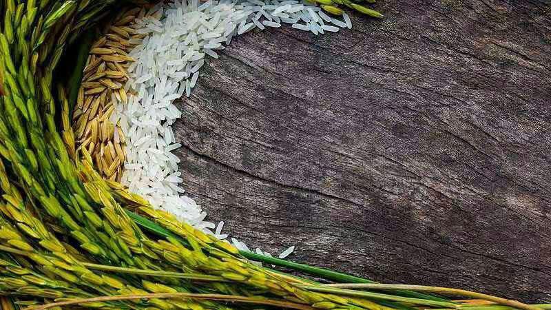 تکمیل نقشه‌ سه بعدی ژنوم برنج توسط چینی ها