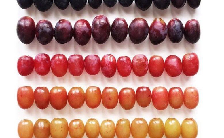 هر رنگ انگور چه فوایدی دارد؟