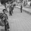 زنگ خطر افزایش کودکان کار در استان البرز