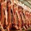 هشت تن گوشت فاسد در ساوجبلاغ معدوم شد
