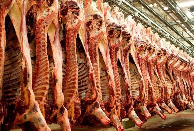 هشت تن گوشت فاسد در ساوجبلاغ معدوم شد