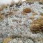 بارش اولین برف پاییزی در ارتفاعات آزادبر گچسر١٣٩٨ ٧ ٢٩